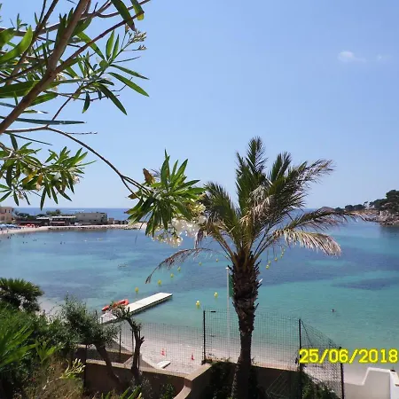 T1 De Charme Terrasse Vue